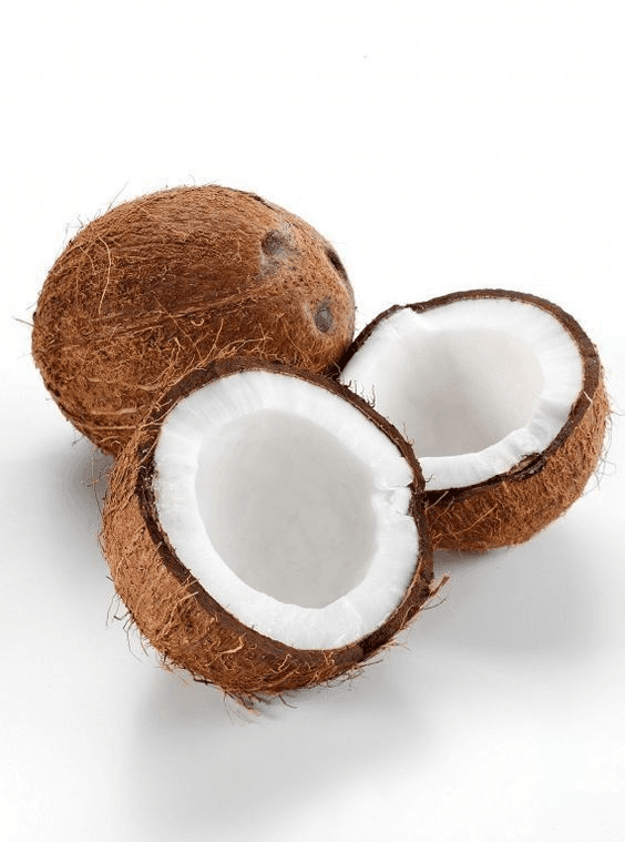 Coconut